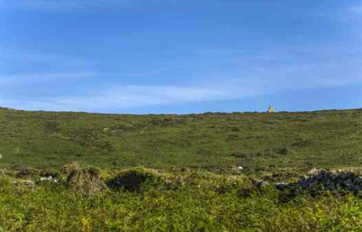 The tin gardens on the north coast of Penwith host hundreds of holes and shafts.